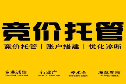 百度网络推广案例：揭秘行业领军企业如何保持竞争力
